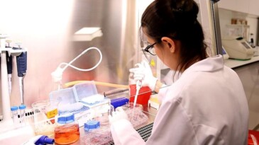 Demans hastalığı tanı konulmadan 15 yıl önce tahmin edilebilecek