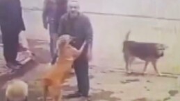 Dereden kurtarılan köpeğin sevgi gösterisi yürekleri ısıttı