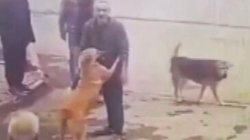 Dereden kurtarılan köpeğin sevgi gösterisi yürekleri ısıttı