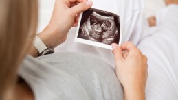 Embriyoların çocuk sayılması sonrasında tüp bebek çalışmaları durdu
