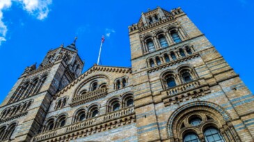 Londra müzelerindeki 1700’e yakın eserin çalındığı ya da kaybolduğu bildirildi