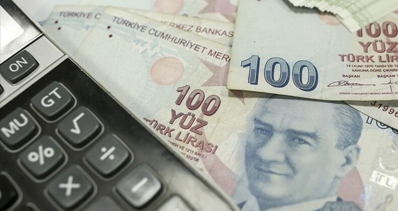 SED yardımı ne zaman yatacak? 2024 Şubat SED ödemeleri