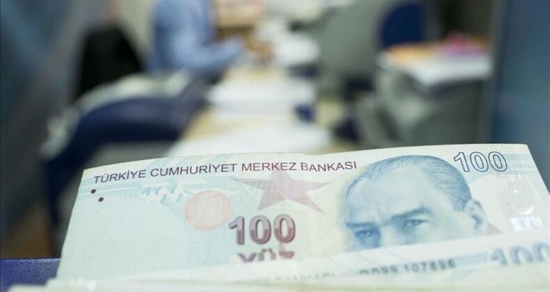 Şubat ayı aile destek ödemeleri yattı mı? Bakan Göktaş duyurdu (2024 aile destek ödemesi sorgulama ekranı)