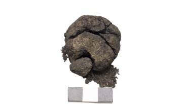 Çatalhöyük’te dünyanın en eski ekmeği bulundu