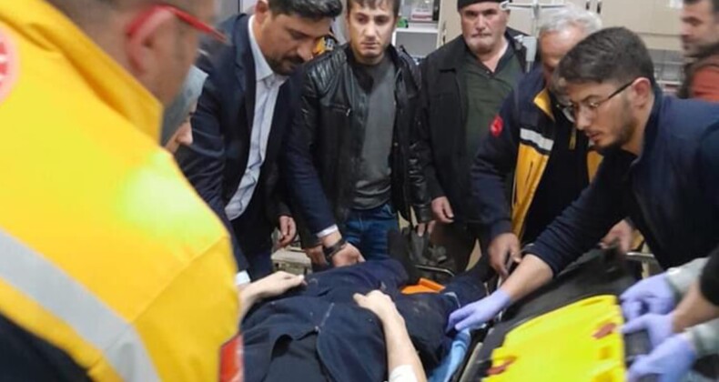 Domuz sürüsü yola fırladı, işçiler yaralandı