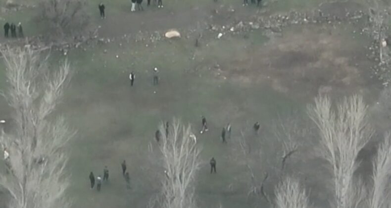 Köpek dövüştürenlere drone destekli operasyon: 30 gözaltı