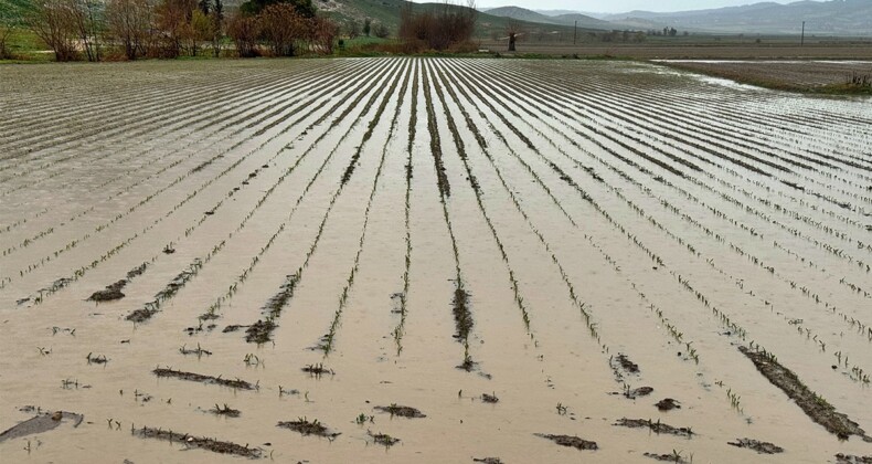 Osmaniye’de tarım arazileri sular altında kaldı