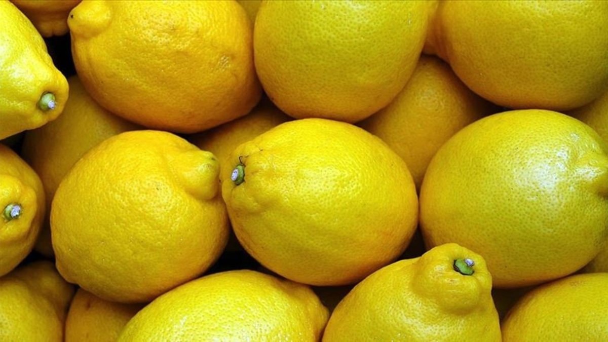 Üreticide 2,50 TL olan limon, markette 18,36 TL’ye satıldı