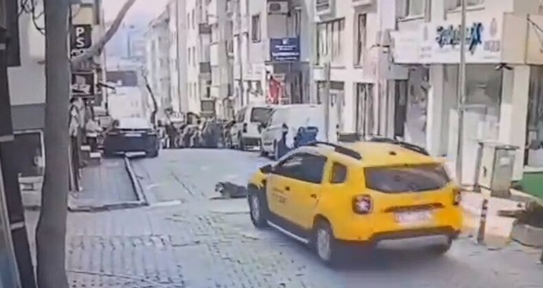 Yolda yatan köpeği acımasızca ezdi