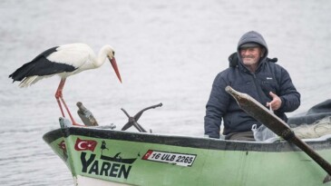 Yuvasına 13. kez konan Yaren, turizmi de hareketlendirdi