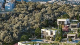 Zeytinlik alana yapılacak 34 milyon liralık otel için ÇED süreci