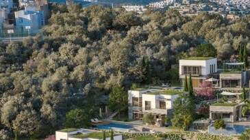 Zeytinlik alana yapılacak 34 milyon liralık otel için ÇED süreci