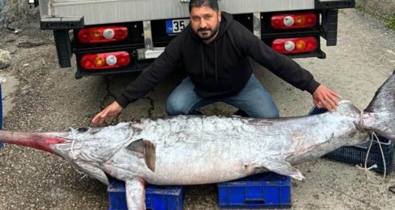 3 metre boyundaki kılıç balığını 30 bin liraya sattı
