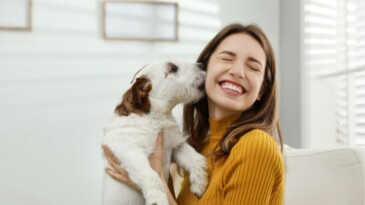 Bilimsel araştırma: Köpeklerle vakit geçirmek terapi etkisi sağlıyor