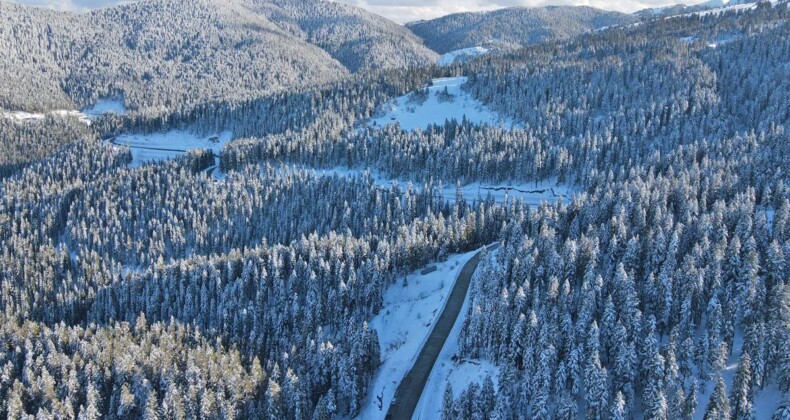 Ilgaz Dağı Milli Parkı beyazlara büründü