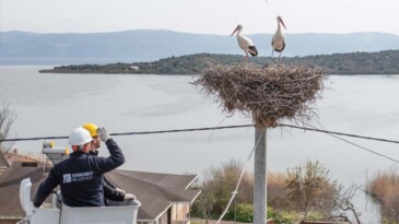 Leylek Köyü’nde yuvalara bahar temizliği geldi