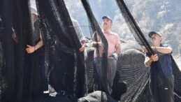 Karadeniz’de ağlar erken toplandı