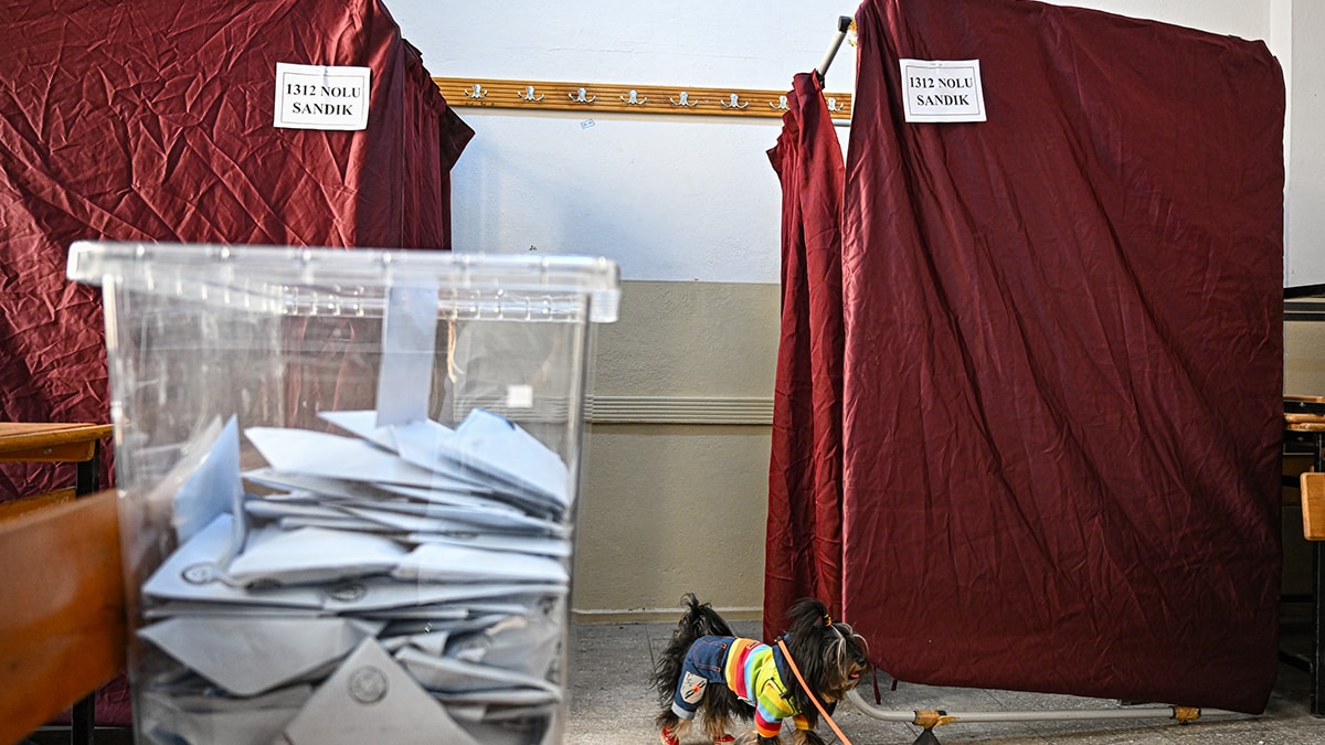 Ordu Seçim Sonuçları 2024