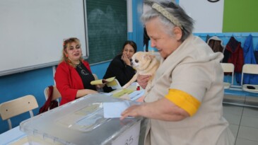 Oy kullanmaya köpeğiyle geldi