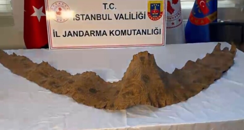 Üzerinde İbranice yazılar bulundu… 2 bin yıllık piton derisi!