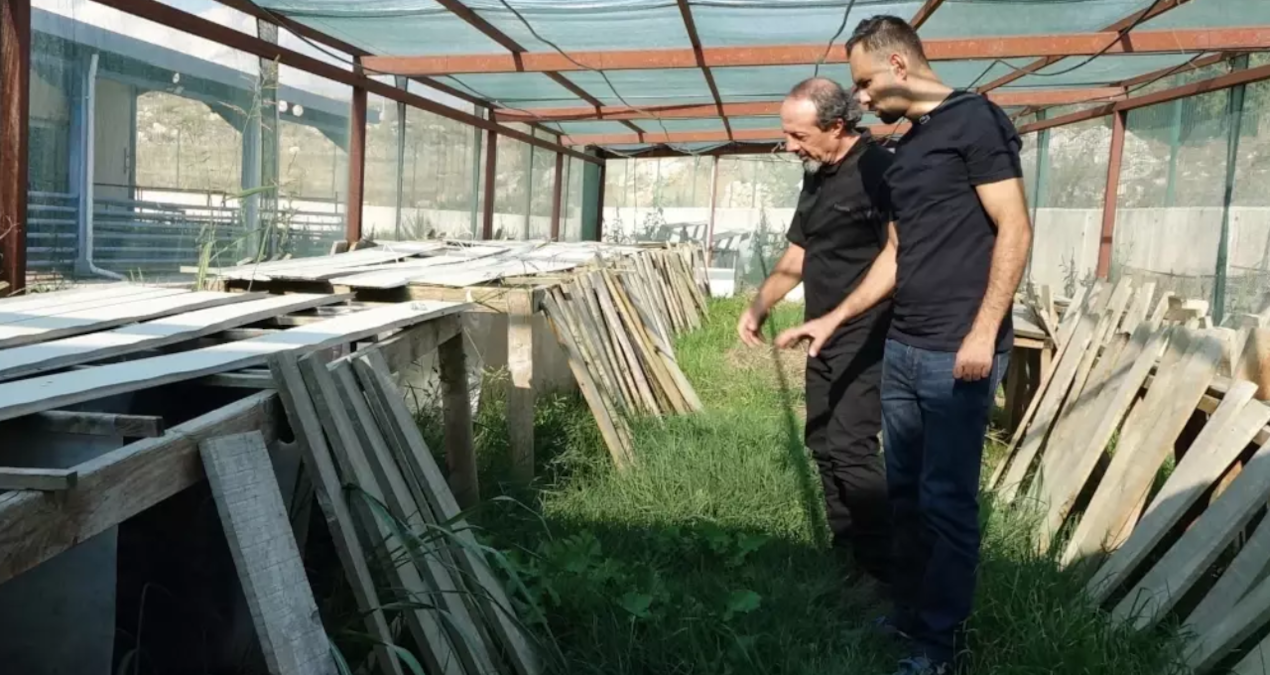 Görenler iğreniyor ama sağlığa faydaları saymakla bitmiyor: Yüzde 70’i Türkiye’de üretiliyor