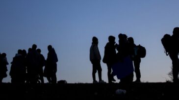 Kırklareli’nde 13 kaçak göçmen yakalandı