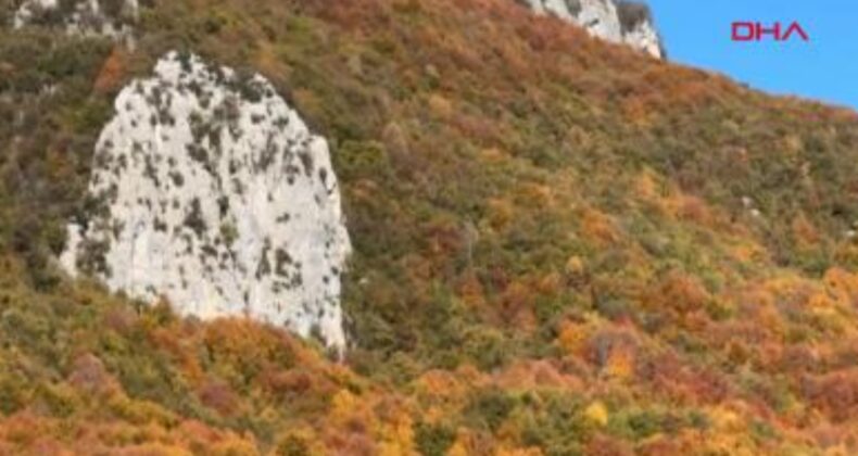 Küre Dağları’nda sonbahar güzelliği