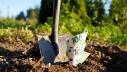 Lotodan 200 milyon TL kazanan çift bileti bahçeye gömdü