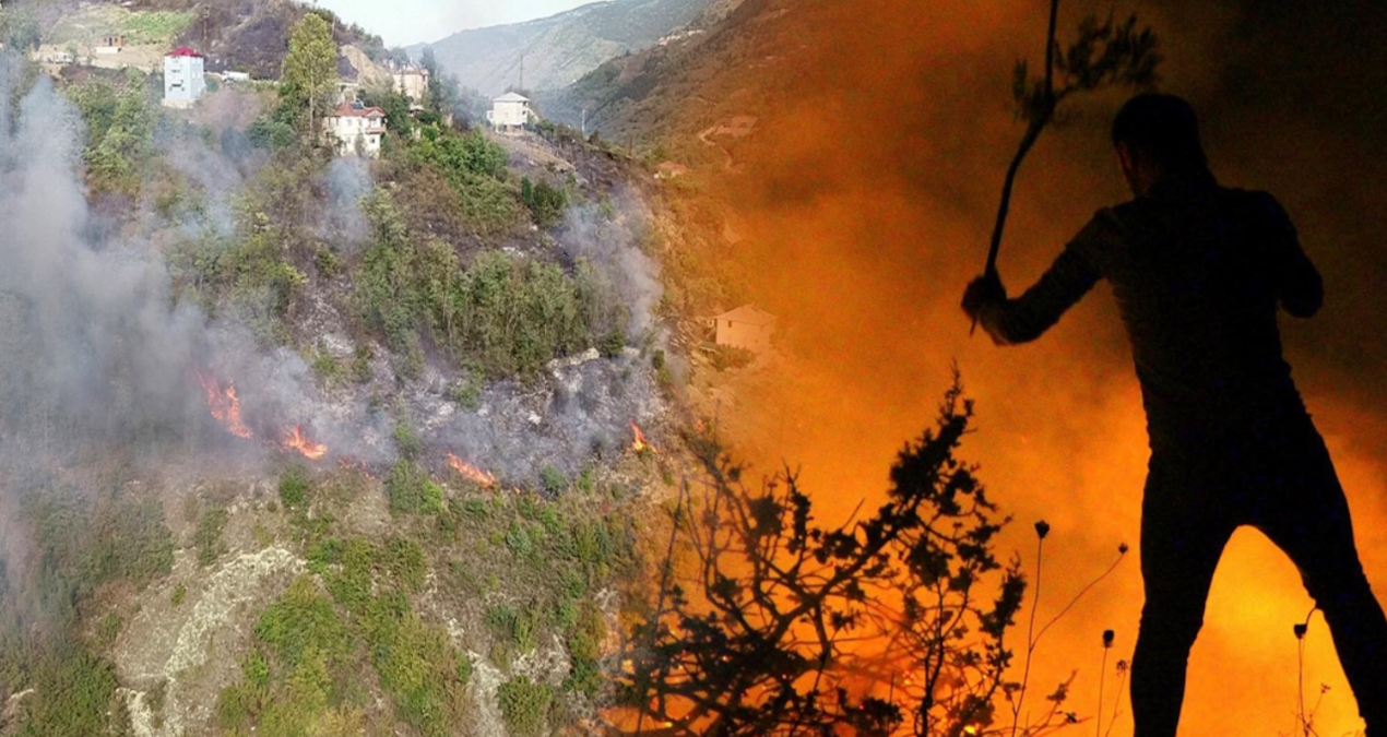 Orman yangınlarında ‘yalancı yaz’ riski