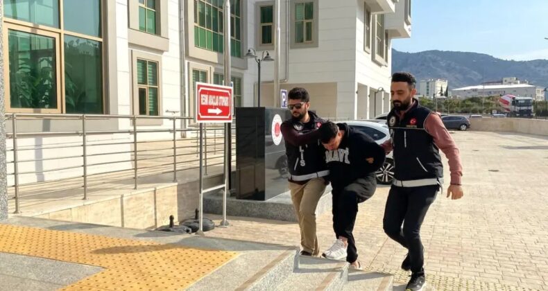 Zeytin Ağacında Uyuşturucu Hap Bulunan Şüpheli Tutuklandı