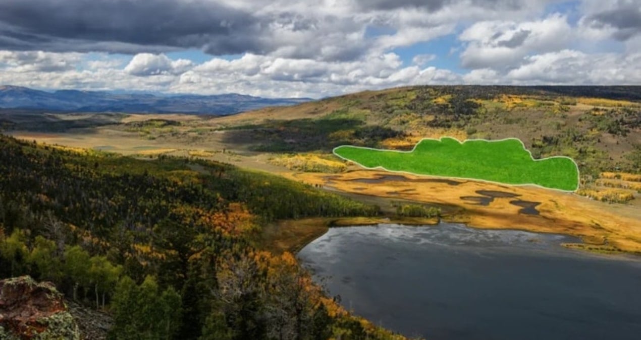 14 bin yıllık dev yok olmak üzere… Dünyanın en büyük canlısının hikayesi