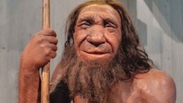 Neandertallerin kanı onların neslinin tükenmesine yol açmış olabilir: İşte o kan grubu