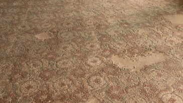 Pompeiopolis Antik Kenti’nde mozaikler yerine yerleştirildi
