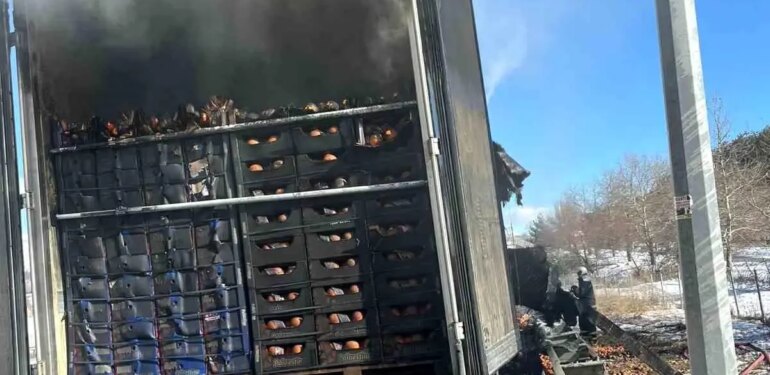 Adana-Pozantı Otoyolu’nda narenciye yüklü tır alevlere teslim oldu
