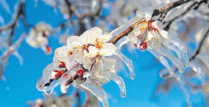 Afetlere karşı tarım sigortası kalkanı