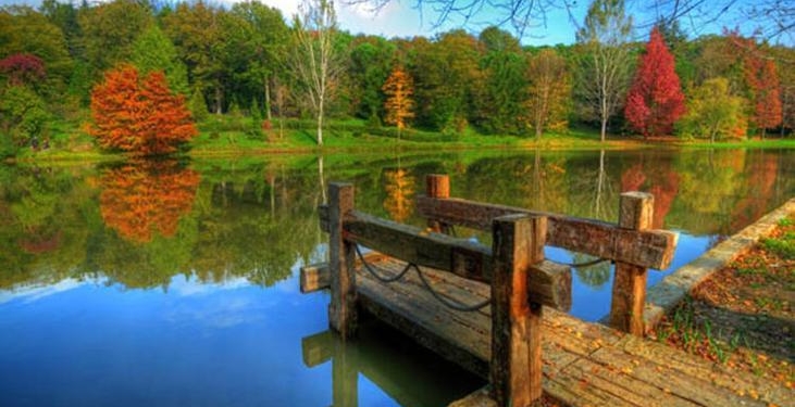 Atatürk Arboretumu Nerede? Atatürk Arboretumu’na Nasıl Gidilir? (2026)