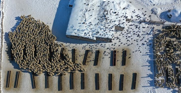 ‘Başaramazsınız’ söylemlerine aldırış etmedi: Devlet desteğiyle işini 6 kat büyüttü!