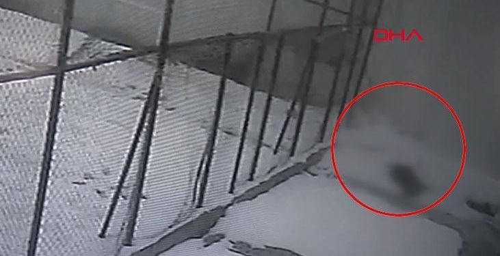 Cam silerken hayatını kaybetti! Öğretmenin düştüğü anlar kamerada