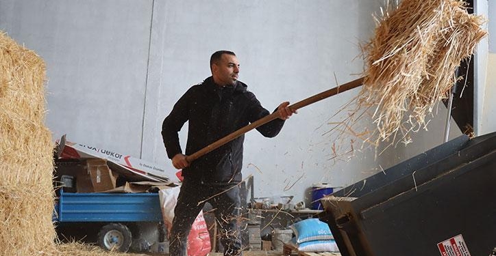 Devlet destek verdi: Erzincanlı genç girişimci hayvancılıktan modern üretime geçti