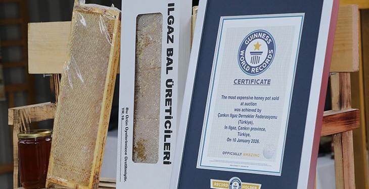 Dünyanın en pahalı balı Ilgaz’da satıldı! Fiyatıyla Guinness Rekorlar Kitabı’na girdi