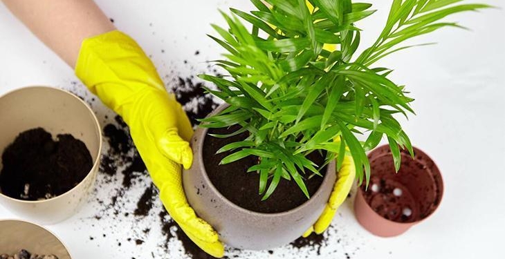 Evin tüm havası saniyeler içinde değişiyor! Dekor değil kötü enerji emici