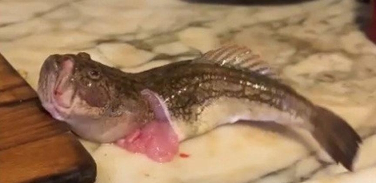 Görür görmez şoke oldu! Organları çıkarıldı, yıkandı, ama hala canlıydı: ‘Hazırladığım çorbayı içemedim’