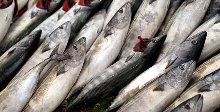Herkes palamut sanıyor ama türü başka! Eti daha sert oluyor, çizgilerine dikkatli bakın