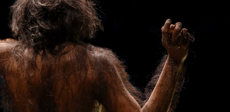 İnsanlığın en eski atası bulunmuş olabilir