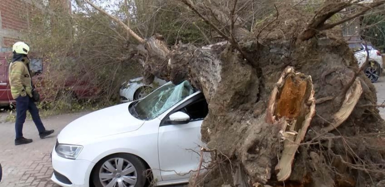 İstanbul’da dev ağaç 4 aracın üzerine çöktü! ‘1 saniye ile kurtuldum’