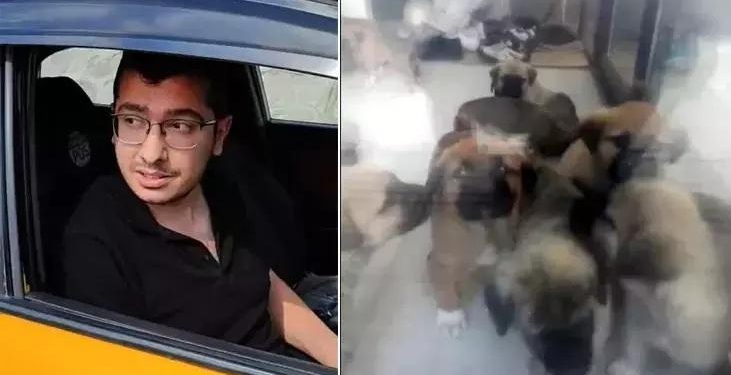 İstinaf, sahiplendiği köpekleri istismar edip öldürmekle suçlanan doktor hakkında verilen kararı bozdu