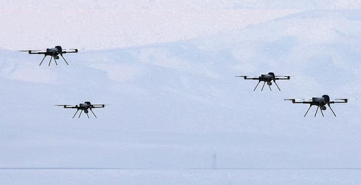 Kargu sürü halinde avladı