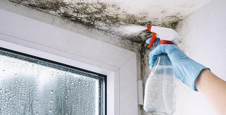 Küf, rutubet, koku kalmıyor! Çamaşır suyundan 100 kat etkiliymiş, anında çıkarıyor