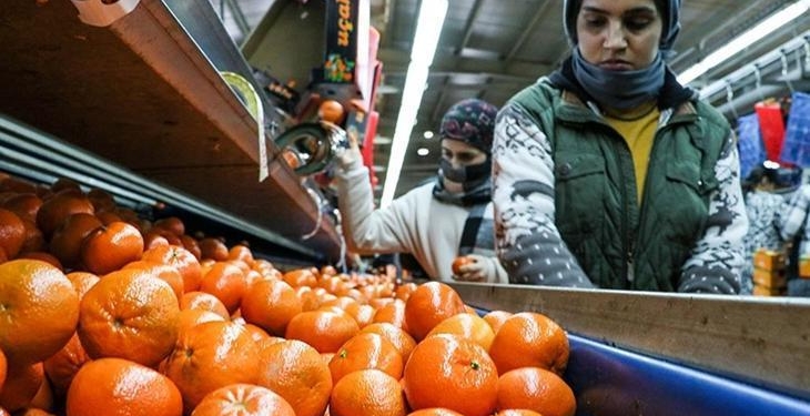 Narenciye ihracatı 2025’te Türkiye’ye 1 milyar 477 milyon 58 bin dolar kazandırdı