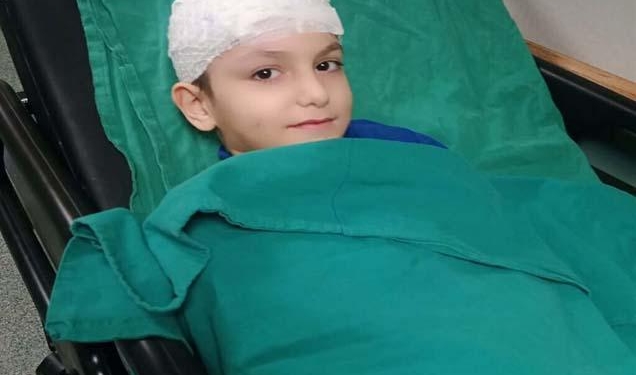 Sokak köpeği dehşeti davasında emsal karar! Aileye rekor tazminat ödenecek